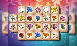 Blossom Link image