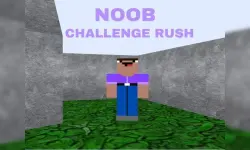 Noob Challenge Rush image