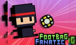 Footbag Fanatic image