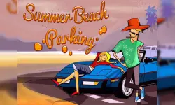 Summer Beach Parking image