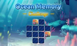 Ocean Memory Challenge image
