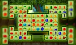 Fruitlinker image
