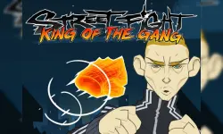 Street Fight King of the Gang image