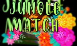 Jungle Match image