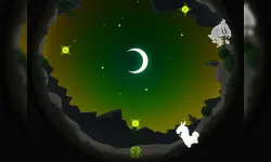 Alpaca Run image