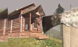 Surviving in the Woods image