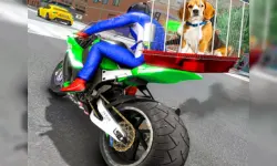 Motorcycle Pet Delivery image