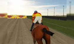 Horse Rider image