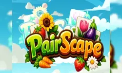 PairScape image