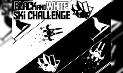 Black & white ski challenge image