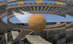 Roller 1 image