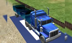 Sea Animal Transport image