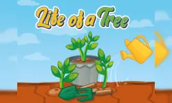 Life of a Tree image