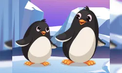 Penguin Jigsaw image
