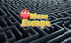 Maze Escape image