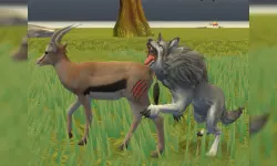 Wolf Life Simulator image