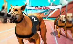 Crazy Dog Racing Fever image