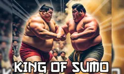 King Of Sumo image