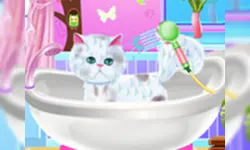 Excellent Pet Groomer image