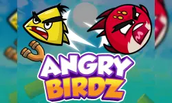 Angry Birdz image