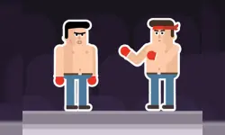 Mr Fight image