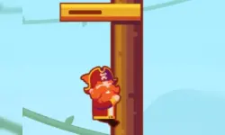 Private Pirate image