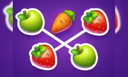 Connect Fruits image