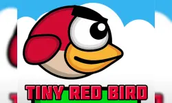 Tiny Red Bird image