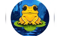 Frog Jumper image
