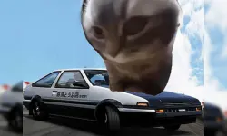 image bg Car Stunt Chipi Chipi Chapa Chapa Cat