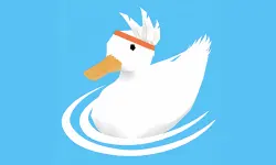 Ducklings.io image