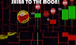 Shiba Inu To The Moon image
