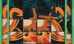 Puzzle Animal Rotate image