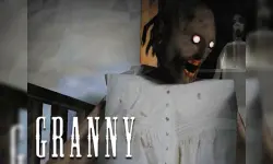 Granny Cursed Cellar image