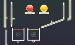 Fruit Juices image