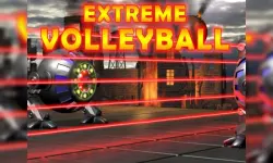 Extreme Volleyball image