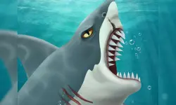 Shark Attack-Casual image
