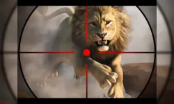 image bg wild life hunting