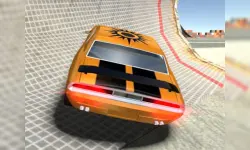 Autosimulator image