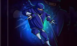 Trained Ninja Puzzle image