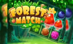 Forest Match image