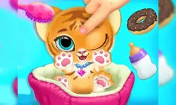 Baby Tiger Care image