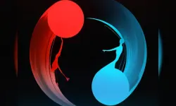 Dual image