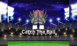Catch The Ball image
