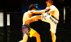 UFC Fighting Match Jigsaw image
