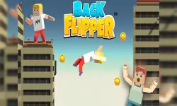 Back Flipper image