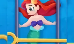 Save The Mermaid image