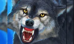 Wild Wolf Hunter image
