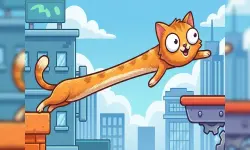 CatStretch image