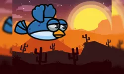 Equation Bird Flyer image